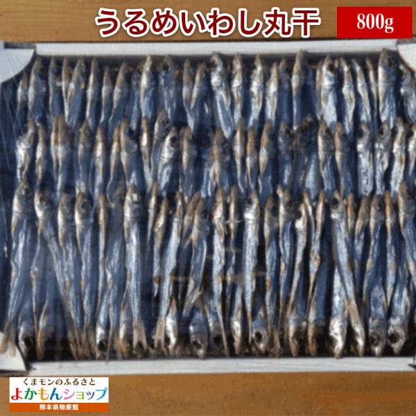 松岡水産 うるめいわし 丸干し 800g 熊本 天草産 冷凍 干物 ギフト ウルメイワシ 甘汐