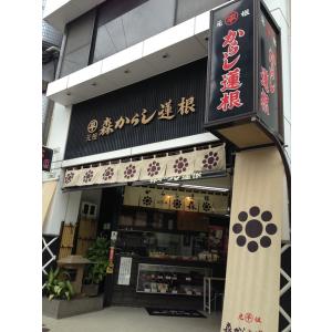 森からし蓮根 元祖からし蓮根 中 3本入り 冷...の詳細画像2