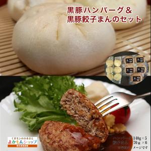 くまもとあさぎり物産館 黒豚ハンバーグ 140g×5＆黒豚餃子まん 70g×6個のセット 冷凍 六白黒豚 ハンバーグ ギフト｜kumamon-yokamon