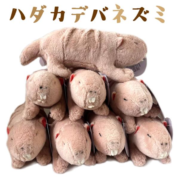 ハダカデバネズミ　ぬいぐるみ