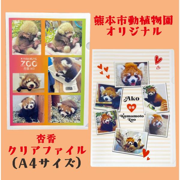 杏香クリアファイル　A4サイズ