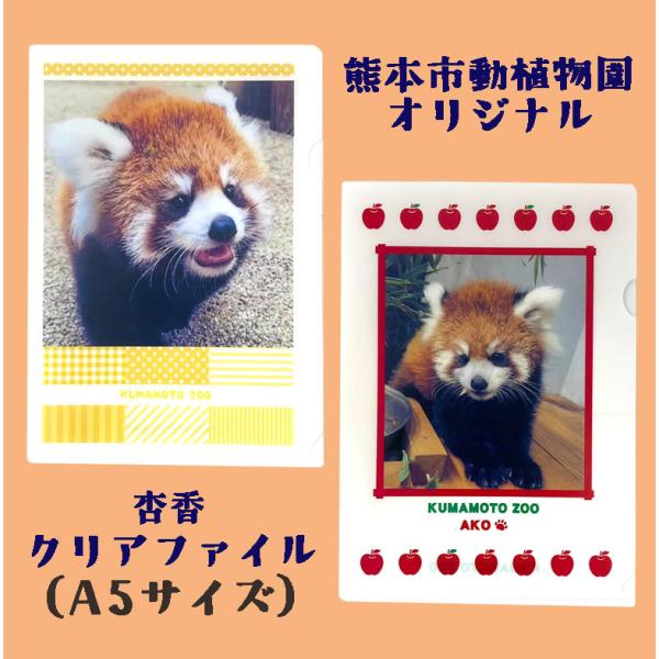 杏香クリアファイル　A5サイズ