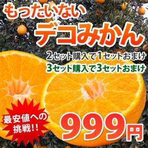 ご自宅用訳あり 熊本県産 もったいない!デコみかん1.2kg...