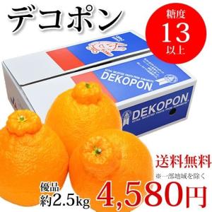 みかん デコポン 約2.5kg 送料無料 熊本県産 不知火 光センサー選果 dekopon でこぽん デコ 箱デザインが異なる場合有り