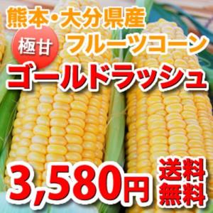 熊本・大分県産 朝もぎ極甘フルーツコーン ゴールドラッシュ《送料無料》10~13本入り(約4kg)