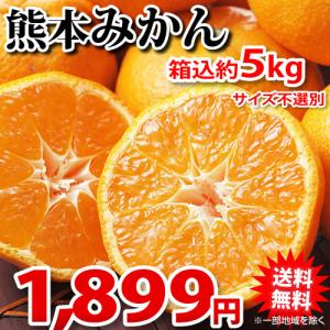 みかん 送料無料 箱込5kg 内容量4kg 補償分500g 訳あり 規格外 熊本県産 ミカン 蜜柑 ご自宅用