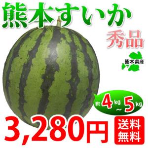 すいか  熊本スイカ 熊本県産 お取り寄せ 1玉 4~5kg  西瓜