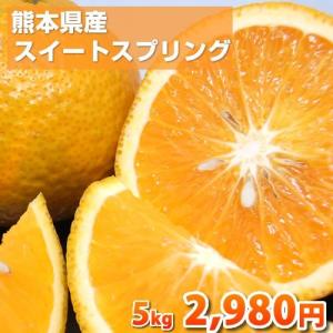 みかん スイートスプリング 5kg 送料無料 柑橘 中晩柑