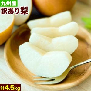 梨  訳あり 熊本県産  箱込約5kg  豊水 幸水 秋月 新高