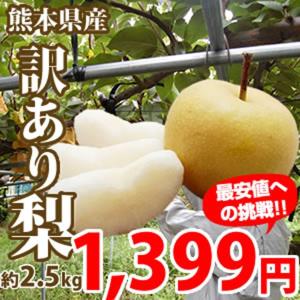 【期間限定特価】熊本県産訳あり梨 約2.5kg入り【2箱購入で送料無料 3箱以降はオマケ有り! 】