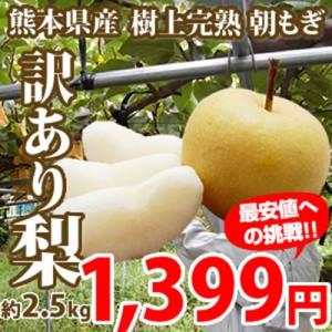 熊本県産訳あり梨 約2.5kg入り【2箱購入で送料無料 3箱以降はオマケ有り! 】