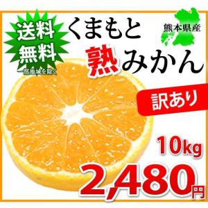 みかん 送料無料 10kg 訳あり  熊本県産 サイズ不選別 ミカン 蜜柑 ご自宅用 ポイント消化