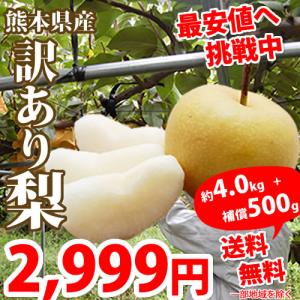 梨 送料無料 訳あり 熊本県産  箱込約5kg【内容量4kg+不良果補償分500g】  豊水 幸水 秋月 新高 新興 ご自宅用 なし ナシ