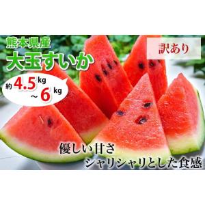 すいか 送料無料 大玉スイカ 訳あり 熊本県産...の詳細画像1