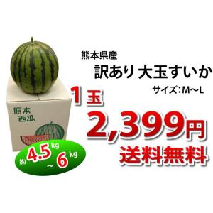 すいか 送料無料 大玉スイカ 訳あり 熊本県産...の詳細画像3
