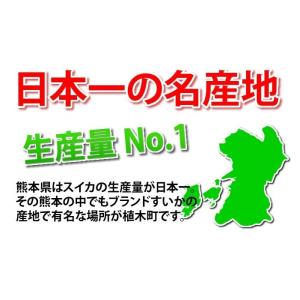 すいか 送料無料 大玉スイカ 訳あり 熊本県産...の詳細画像4