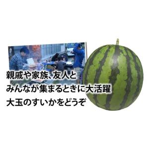 すいか 送料無料 大玉スイカ 訳あり 熊本県産...の詳細画像5