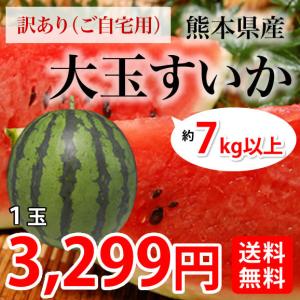 すいか 送料無料 早めの出荷 大玉スイカ 訳あり 熊本県産 お取り寄せ 1玉 約7kg以上