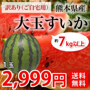 すいか 送料無料 大玉スイカ 訳あり 熊本県産 お取り寄せ 1玉 約7kg以上 ズ