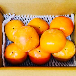福岡県産 冷蔵柿 富有柿 秀品 L〜2Lサイズ 5kg（箱） : 生鮮卸売市場