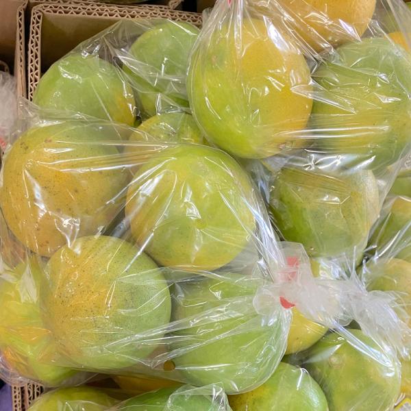 【選果落ち 訳あり商品】 国産 レモン 箱込み 5kg 規格外 家庭用 贈答不可 加工用【003】 ...