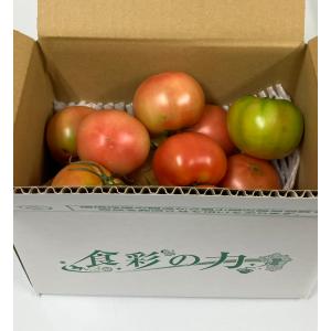 【規格外 訳あり商品】熊本県産 トマト 訳あり 箱込み 約2キロ【003】サイズ不揃い くまもと とまと 無規格外 家庭用 贈答不可 加工用 通販｜くまもと食彩の力