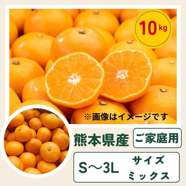 選果落ち 訳あり品 熊本県産 みかん 規格外 約10kg 箱込み【002】極早生みかん 早生みかん ...