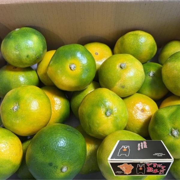 熊本県産 みかん 秀品 約2.5キロ 箱込み Sサイズ サイズ指定【001】極早生みかん 早生みかん...