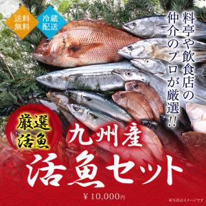 九州産 厳選 活魚 詰め合せセット 3〜4種 送料無料 活〆 冷蔵｜kumamoto-yamaya