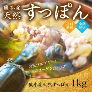 天然 すっぽん 1kg 九州 熊本産 スッポン 送料無料｜kumamoto-yamaya