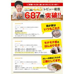 国産 二十五 雑穀 雑穀米 450g 送料無料...の詳細画像2