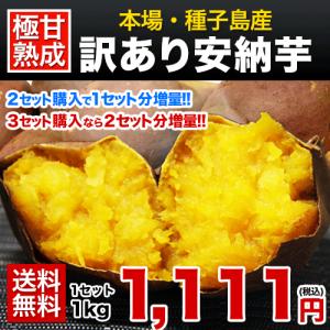 2セットで1セット分おまけ増量 送料無料 安納芋の本場種子島産 訳あり安納芋1kg サイズ不選別 複数の場合おまとめ配送 1月中旬-2月上旬頃より順次出荷