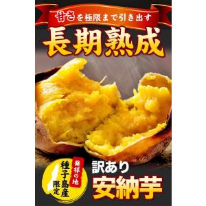 さつまいも 訳あり 安納芋 種子島産 1.5k...の詳細画像1