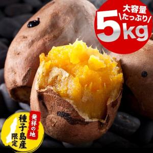 さつまいも 訳あり 安納芋 種子島産 5kg 送料無料  焼き芋 本場種子島産  スイーツ サイズ不揃い 《3-7営業以内発送予定(土日祝除く)》