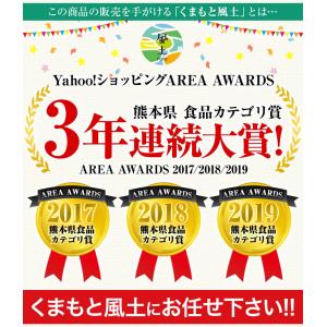 チーズケーキ 訳あり お取り寄せ スイーツ お...の詳細画像2