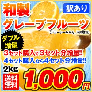 送料無料 訳あり和製グレープフルーツ2kg 河内晩柑 大中小サイズ混合 複数購入はおまとめ配送 5月中旬頃-6月上旬頃より順次出荷