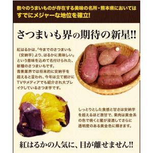 さつまいも 紅はるか 訳あり べにはるか 1....の詳細画像5