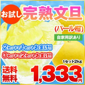 送料無料！お試し完熟文旦(パール柑)2kgまろやかな甘さと爽やかな香りで大人気！2セット購入で1セット分おまけ（訳あり）《3月末頃-4月中旬頃より順次出荷》