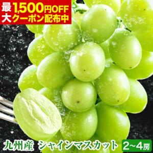 シャインマスカット 1kg-1.2kg前後 フルーツギフト 贈答用 プレゼント ギフト 送料無料 果物 マスカット ぶどう ブドウ 九州産 1-5営業日以内に発送(土日祝除)
