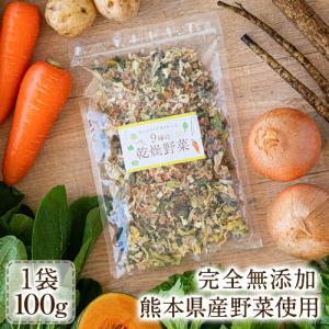 乾燥野菜 9種 の 国産 野菜 完全無添加 100g ドライベジ エアドライ 健康食品 熊本県産 7-14営業日以内に出荷予定(土日祝除く)