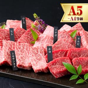 黒毛和牛 6種食べ比べ 500g 送料無料 サーロイン リブロース 内モモ 希少部位 牛肉 肉 ギフト 贈り物 A4 A5 《3-7営業日以内に発送予定（土日祝除く）》