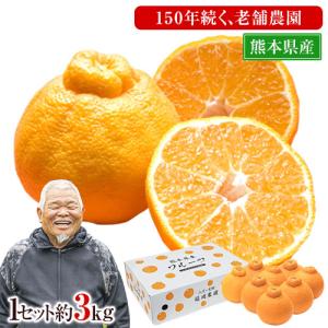 福岡農園 不知火 柑橘 3kg前後 送料無料 熊本県産 3キロ 果物 フルーツ お年賀 ギフト デコポン と同品種 1-5営業以内発送予定(土日祝除く)