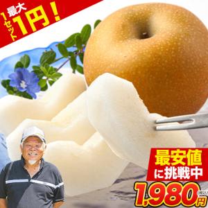 梨 なし 贈答用 福岡農園 ナシ 秋月 あきづき 吉野梨 1.5kg前後 (3〜5玉) 送料無料 熊本県産 旬 果物 旬 フルーツ お取り寄せ 9月下旬-10月上旬頃より発送予定