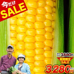 とうもろこし 甘い おおもの すごあまこーん 7本入 (3L~L サイズ) 約1.8〜約2.4kg 卯野農場 送料無料 7月上旬〜8月上旬頃より発送予定  お中元