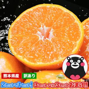 2セット以上でおまけ付き みかん 訳あり 1.5kg 熊本