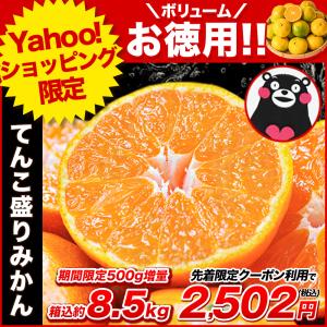 「Yahoo！ショッピング」の売れ筋ランキング10位 - 先着クーポンで2502円 今だけ増量8.5kg みかん 送料無料 訳あり てんこ盛り 箱込8.5kg 小粒 熊本 極早生 柑橘 訳アリ 蜜柑 10月中旬-11月中旬に発送予定 |