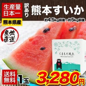 訳あり 熊本 すいか 1玉 約4.5kg前後-約5kg前後 送料無料 本場 熊本県産 スイカ 家庭用 西瓜 3-7営業日以内に出荷 土日祝除く