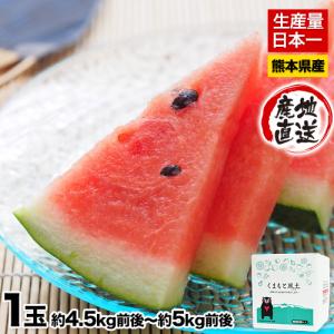 送料無料 訳あり品 スイカの本場熊本県産 熊本すいか1玉(約...