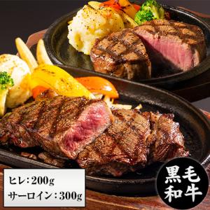 九州産 黒毛和牛 厳選 ステーキセット ヒレ200g サーロイン300g