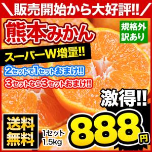 送料無料 熊本みかん 1.5kg 規格外訳あり 3セットで3セット分おまけ 複数購入は1箱おまとめ 12月中旬-12月末頃より順次出荷